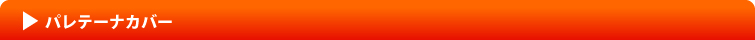 パレテーナカバー